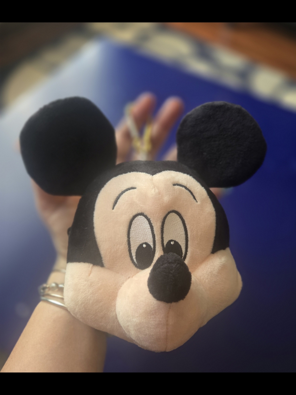 Tokyo Disney Retractable Cord Mickey Mouse Passholder and Coin Purse